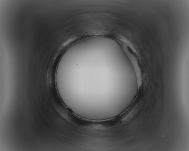 X0000083590203200703021854