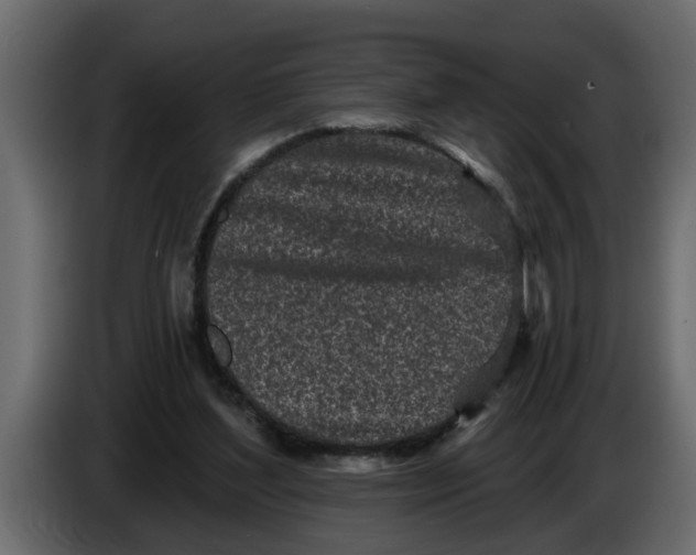X0000083590204200703021854