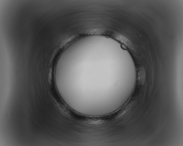 X0000083590206200703021854