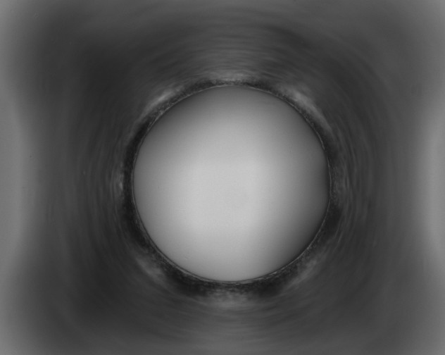 X0000083590207200703021854