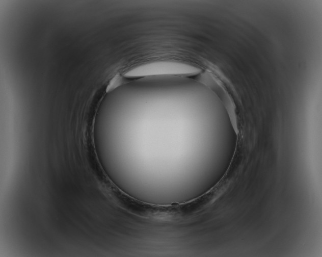 X0000083590209200703021854