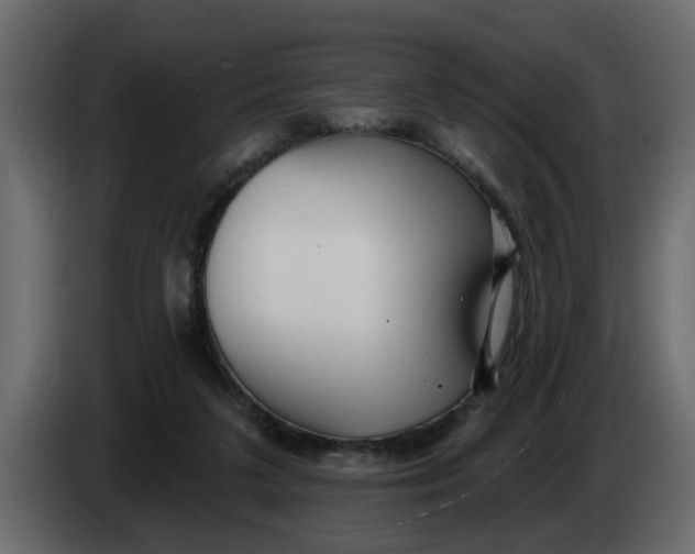 X0000083590211200703021854