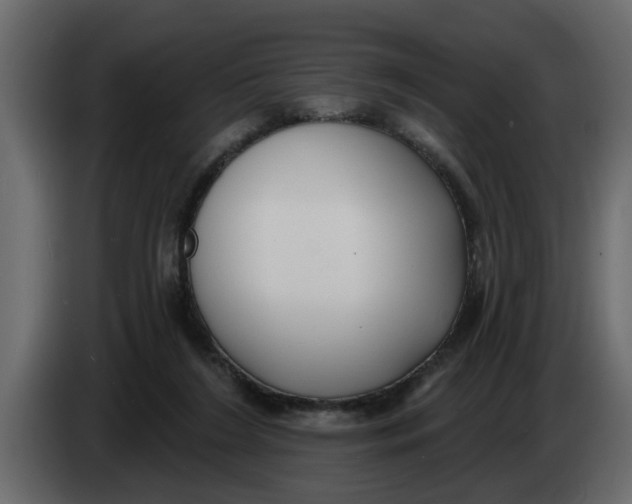X0000083590212200703021854