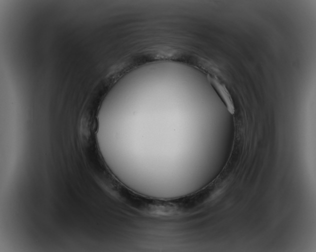 X0000083590215200703021854