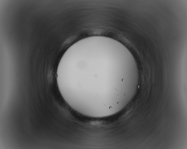 X0000083590216200703021854