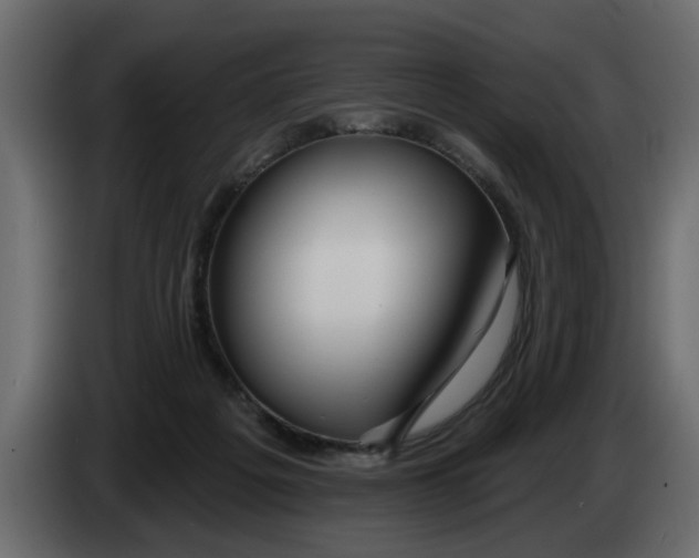 X0000083590217200703021854