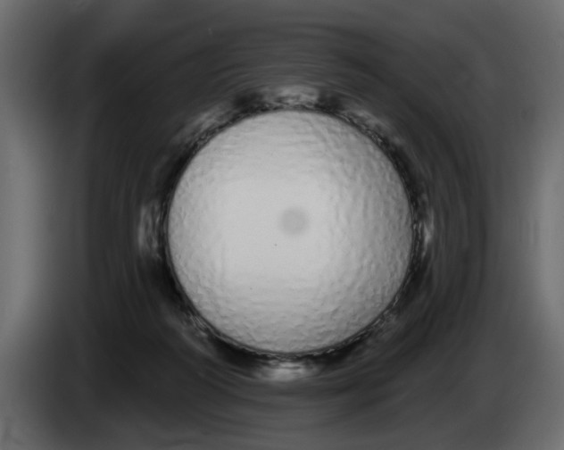 X0000083590218200703021854
