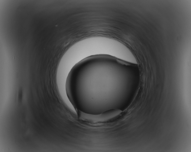 X0000083590219200703021854