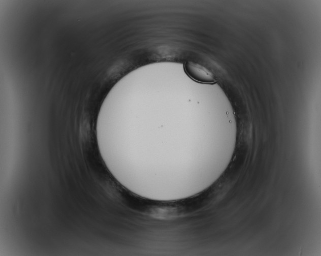 X0000083590220200703021854