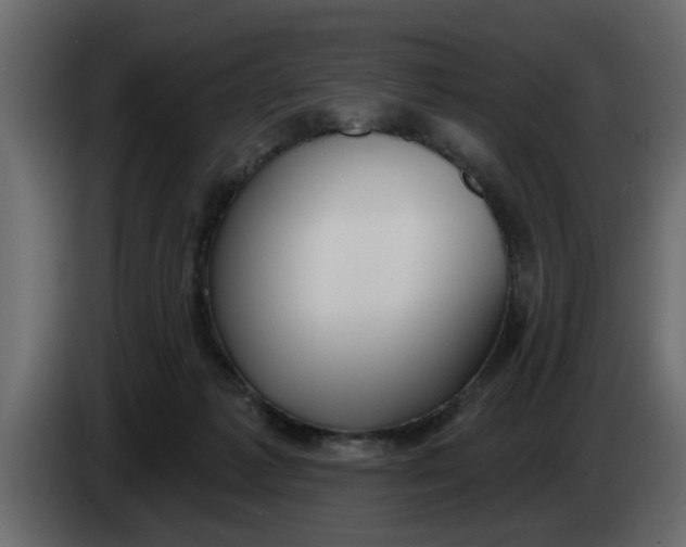 X0000083590221200703021854