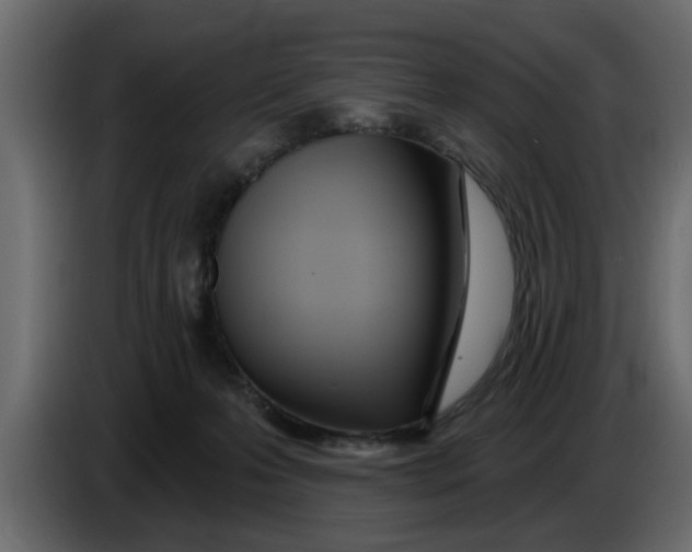 X0000083590223200703021854