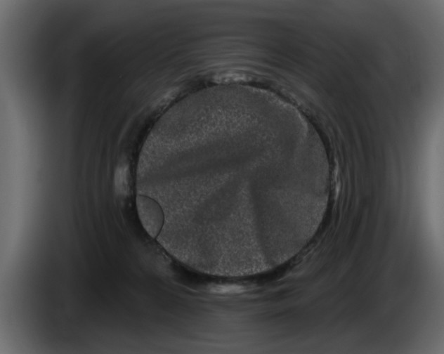 X0000083590224200703021854