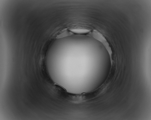 X0000083590225200703021854