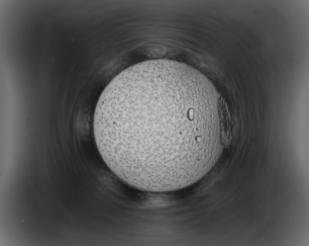 X0000083590226200703021854