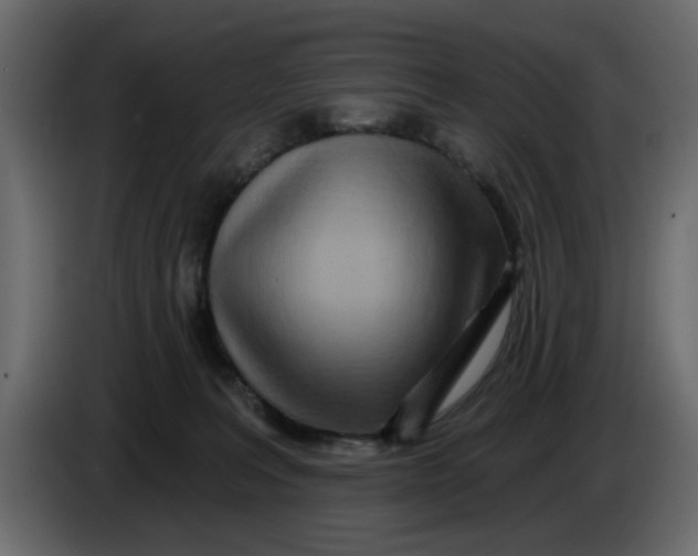 X0000083590227200703021854