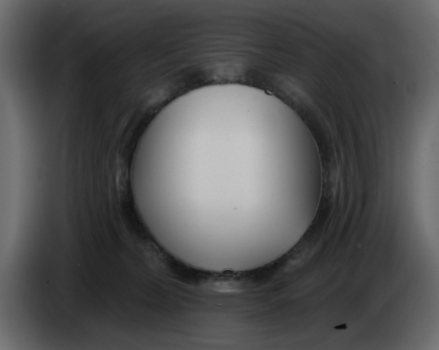 X0000083590228200703021854