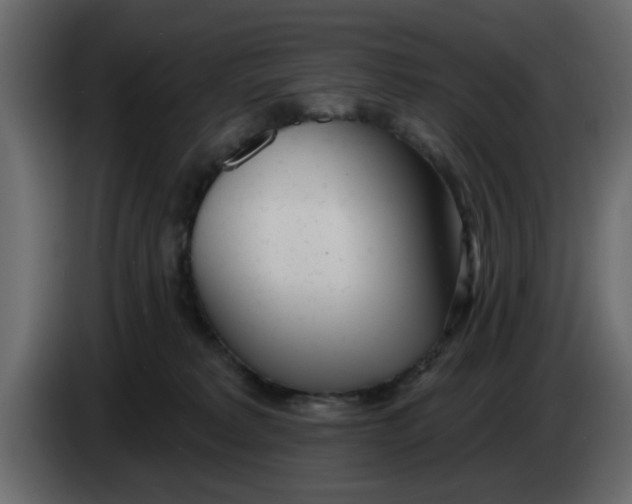 X0000083590229200703021854