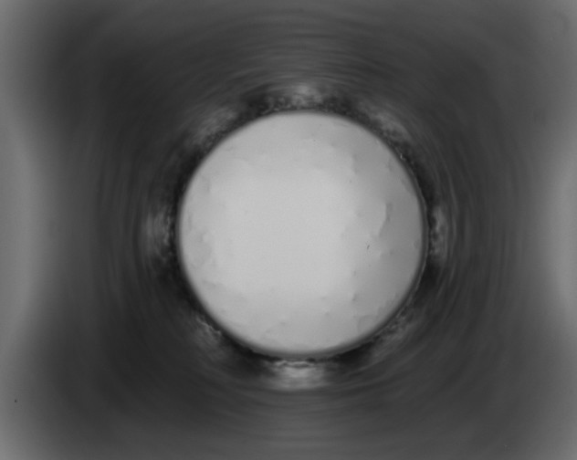 X0000083590230200703021854