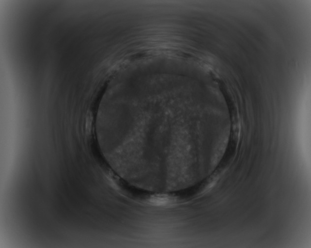 X0000083590231200703021854