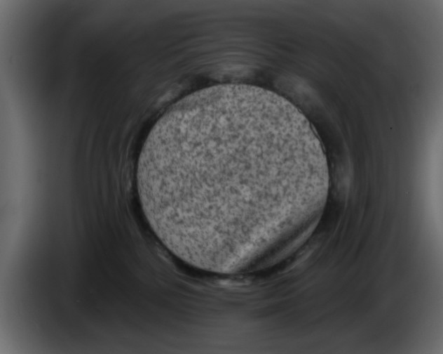 X0000083590232200703021853