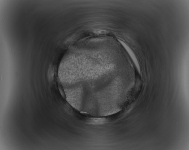 X0000083590233200703021853