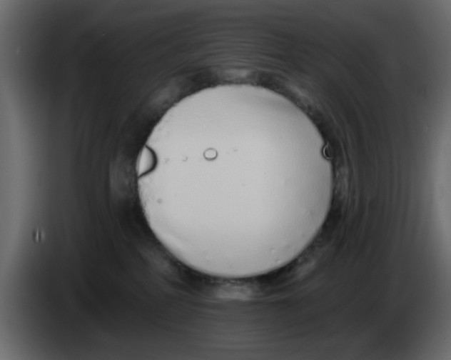 X0000083590234200703021853