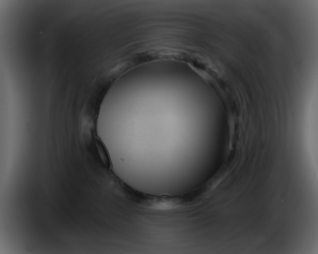 X0000083590235200703021853