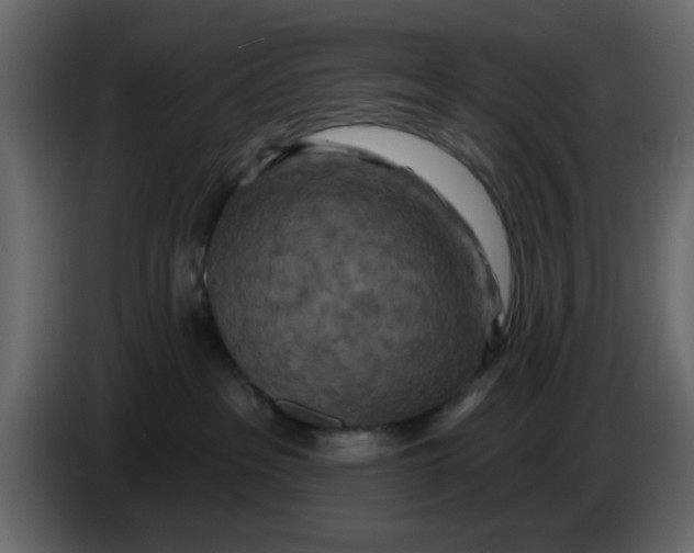 X0000083590237200703021853