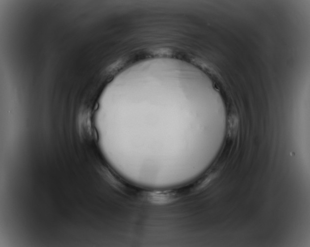 X0000083590238200703021853