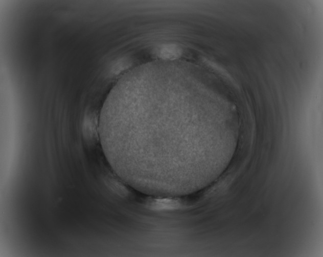 X0000083590240200703021853