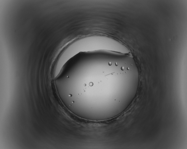 X0000083590242200703021853