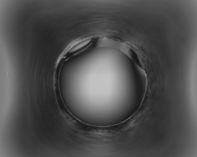 X0000083590244200703021853