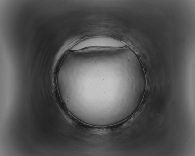 X0000083590245200703021853