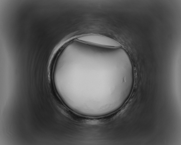 X0000083590246200703021853