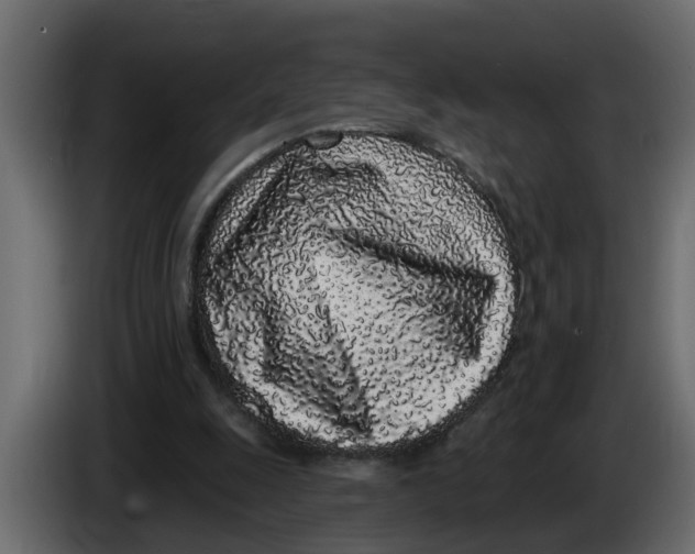X0000083590247200703021853