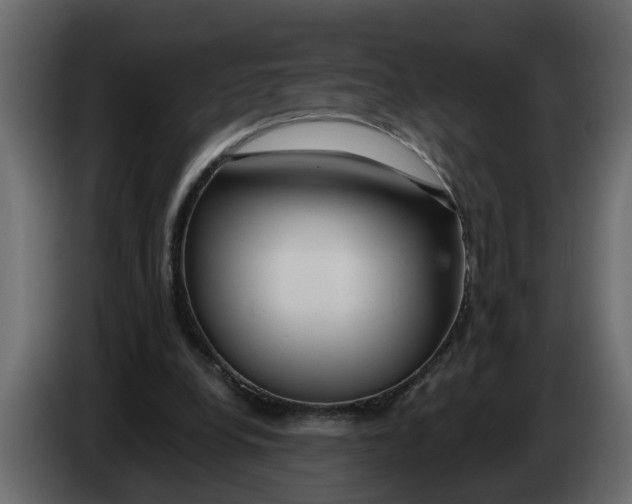X0000083590248200703021853