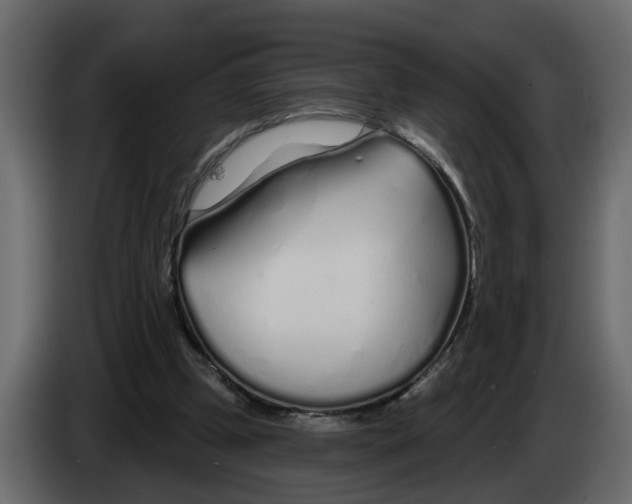 X0000083590249200703021853