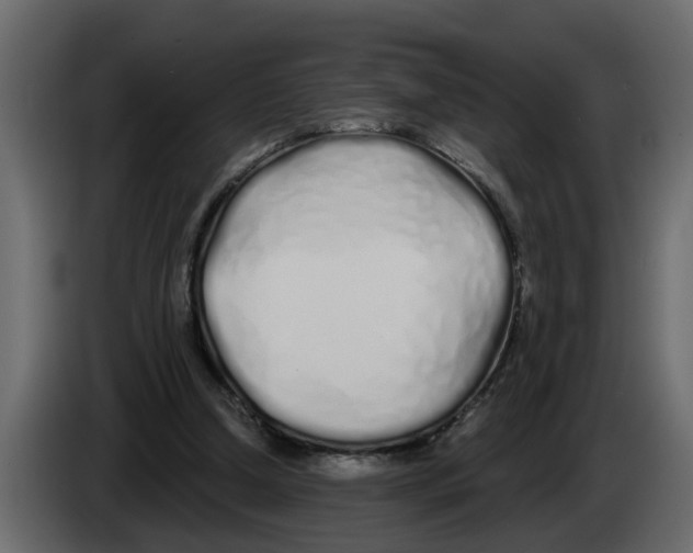 X0000083590250200703021853