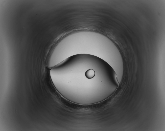 X0000083590252200703021853