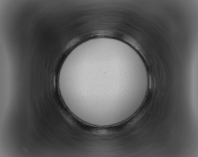 X0000083590253200703021853