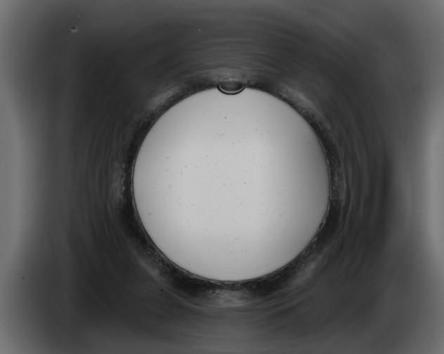 X0000083590255200703021853