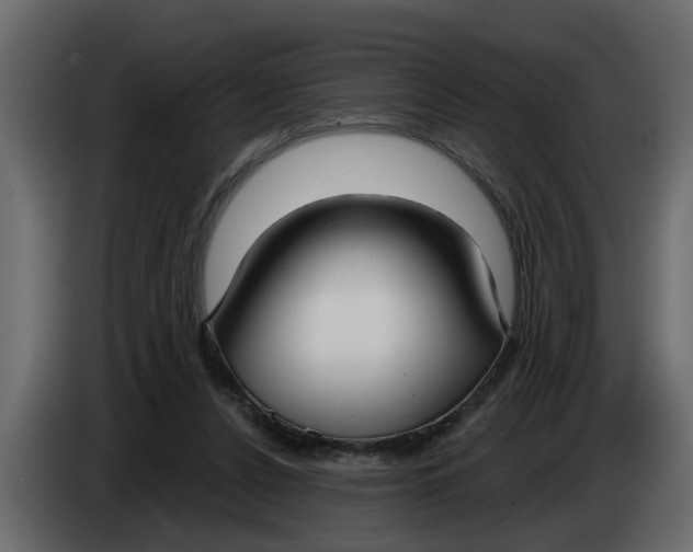 X0000083590256200703021853
