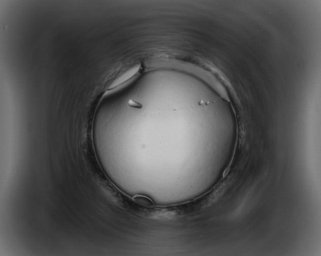 X0000083590257200703021853