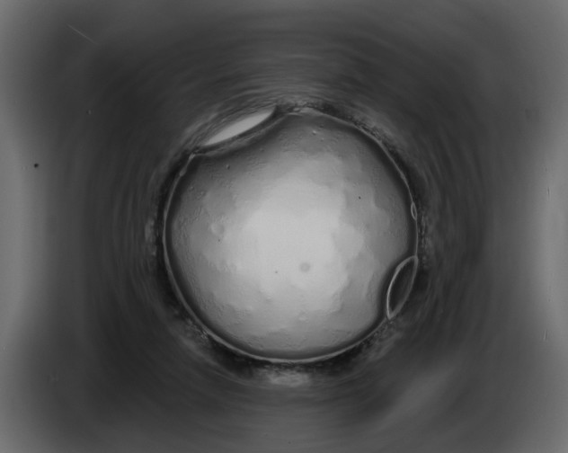 X0000083590258200703021853