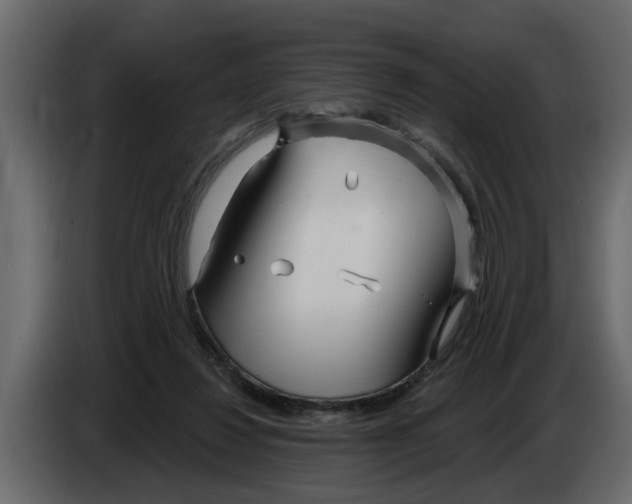 X0000083590260200703021853