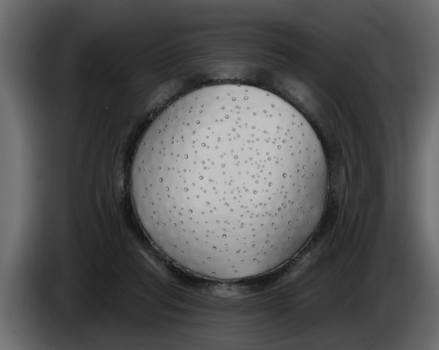 X0000083590261200703021853