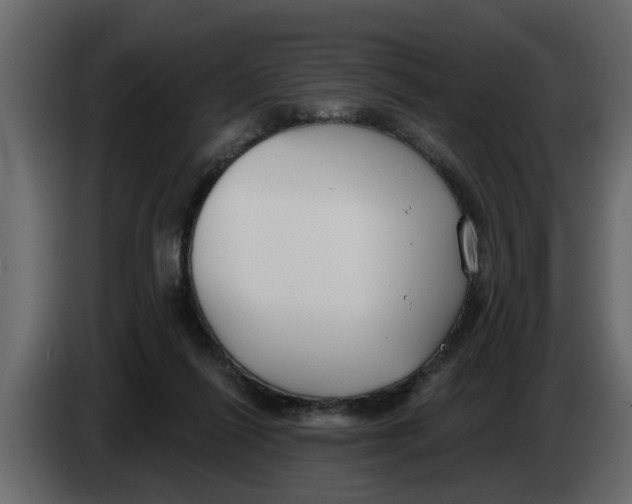 X0000083590262200703021853
