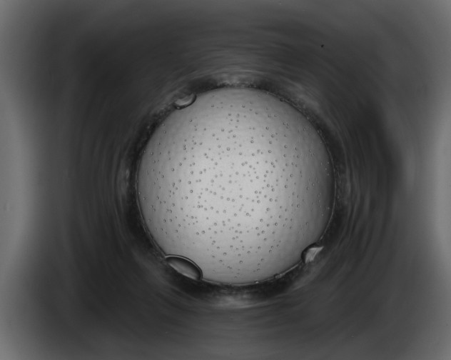 X0000083590263200703021853