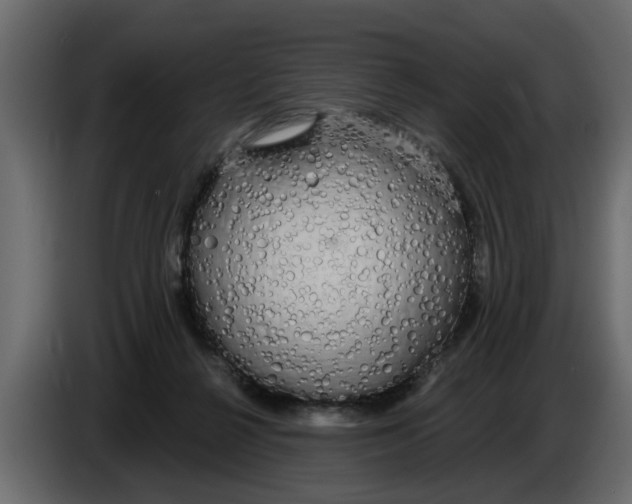 X0000083590264200703021853