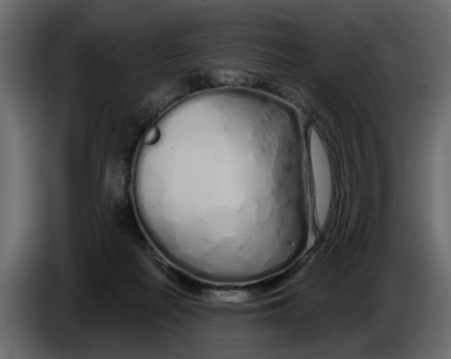 X0000083590266200703021853